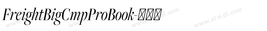 FreightBigCmpProBook字体转换