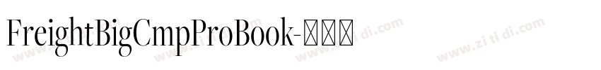 FreightBigCmpProBook字体转换