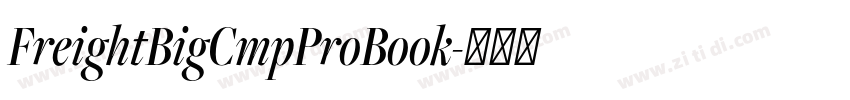 FreightBigCmpProBook字体转换