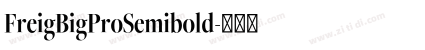 FreigBigProSemibold字体转换