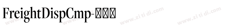 FreightDispCmp字体转换 FreightDispCmp字体转换