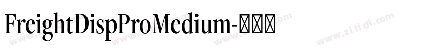 FreightDispProMedium字体转换