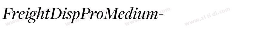 FreightDispProMedium字体转换