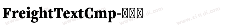 FreightTextCmp字体转换