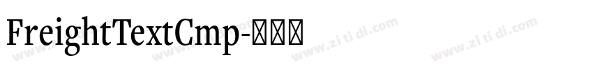 FreightTextCmp字体转换