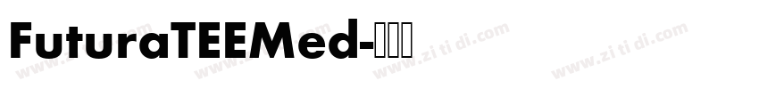 FuturaTEEMed字体转换