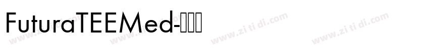 FuturaTEEMed字体转换