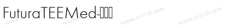FuturaTEEMed字体转换
