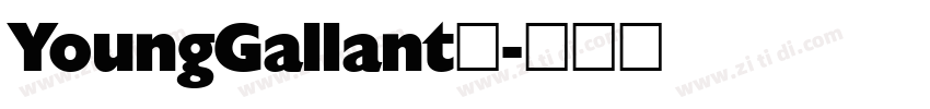 YoungGallant◆字体转换