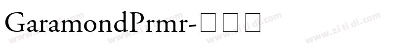 GaramondPrmr字体转换