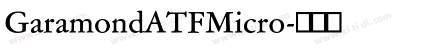 GaramondATFMicro字体转换
