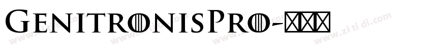 GenitronisPro字体转换