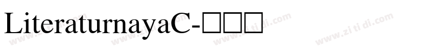 LiteraturnayaC字体转换