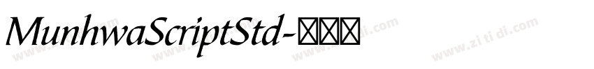 MunhwaScriptStd字体转换
