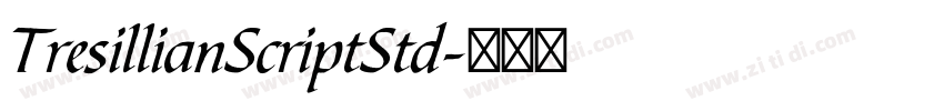 TresillianScriptStd字体转换