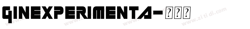 GINExperimenta字体转换