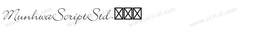 MunhwaScriptStd字体转换