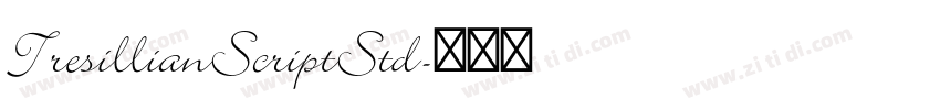 TresillianScriptStd字体转换