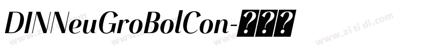 DINNeuGroBolCon字体转换