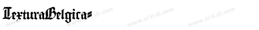 TexturaBelgica字体转换