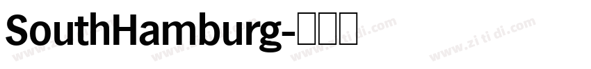 SouthHamburg字体转换