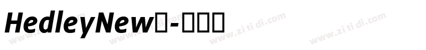 HedleyNew系字体转换