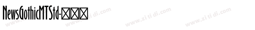 NewsGothicMTStd字体转换