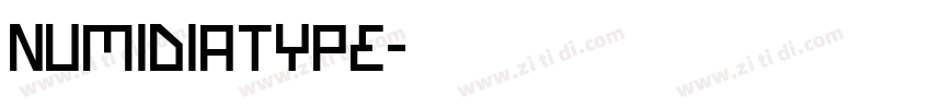 NumidiaType字体转换