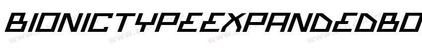 BionicTypeExpandedBo字体转换