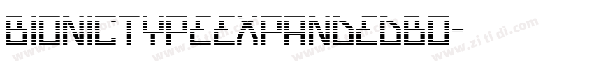 BionicTypeExpandedBo字体转换