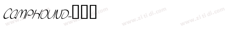 Camphound字体转换