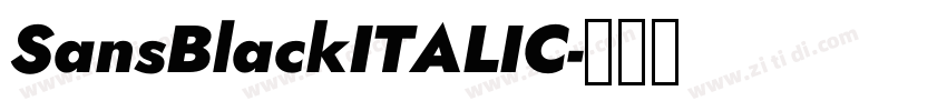 SansBlackITALIC字体转换
