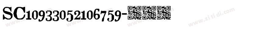 SC10933052106759字体转换