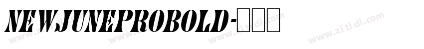 NewJuneProBold字体转换