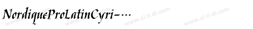 NordiqueProLatinCyri字体转换