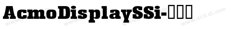 AcmoDisplaySSi字体转换