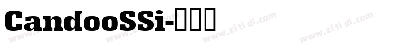 CandooSSi字体转换