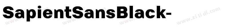 SapientSansBlack字体转换