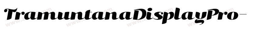 TramuntanaDisplayPro字体转换