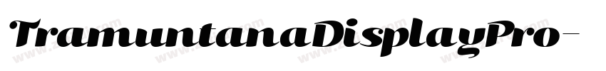 TramuntanaDisplayPro字体转换