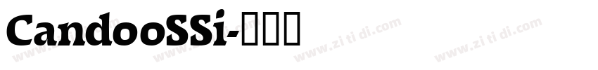 CandooSSi字体转换