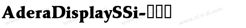 AderaDisplaySSi字体转换