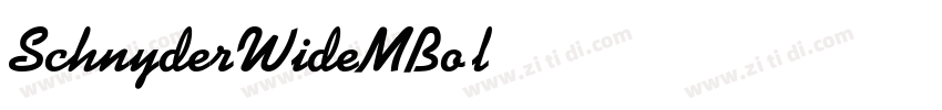 SchnyderWideMBold字体转换