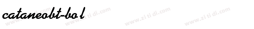 cataneobt-bold字体转换