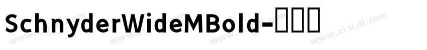 SchnyderWideMBold字体转换
