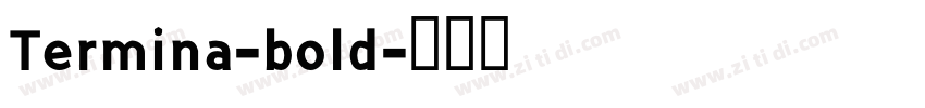 Termina-bold字体转换