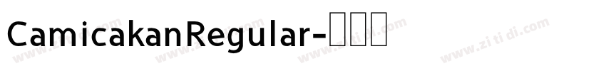 CamicakanRegular字体转换