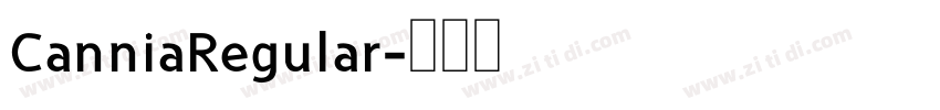 CanniaRegular字体转换