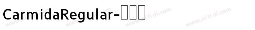 CarmidaRegular字体转换