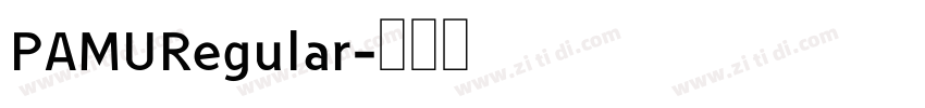PAMURegular字体转换